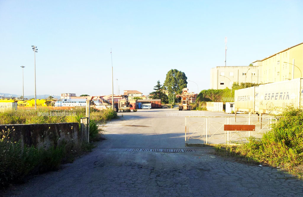 bosco-amatello3.jpg