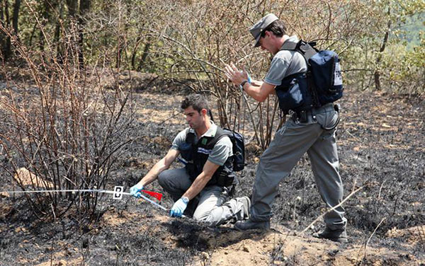 Incendio a  Grisolia distrugge tre ettari di bosco, due denunce 