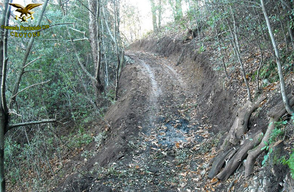 Piste abusive nel bosco, una denuncia nel crotonese