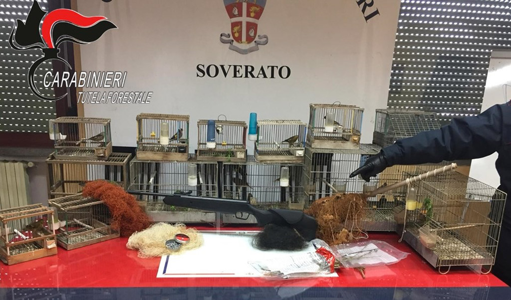 Controlli antibracconaggio nel soveratese, 2 denunce