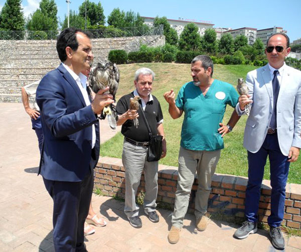 Tornano in libertà nel cielo calabrese poiana e gheppi curati dal Cras