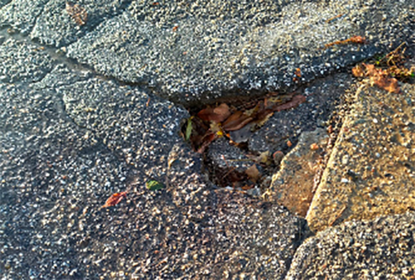 Lamezia, Vescio (PD): “Strade di Zangarona in emergenza, risolvere criticità”