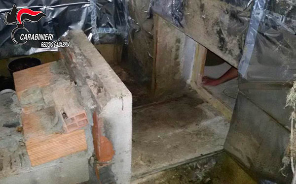 Scoperto bunker nel reggino con serra marijuana, una denuncia 