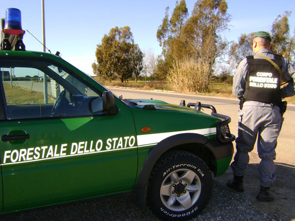 Usavano richiami vietati, denunciati cacciatori nel reggino