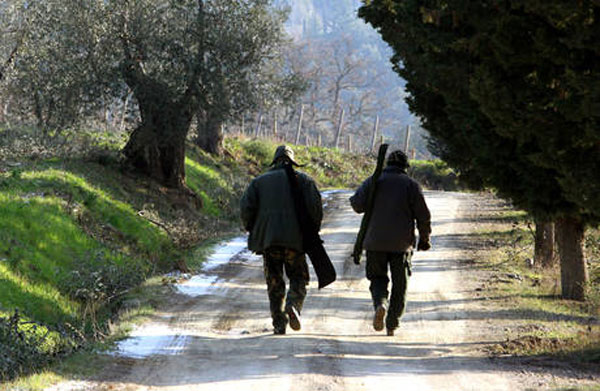 Calendario venatorio, respinto ricorso associazioni ambientaliste. Gallo: "Tar certifica legittimità nostro operato"