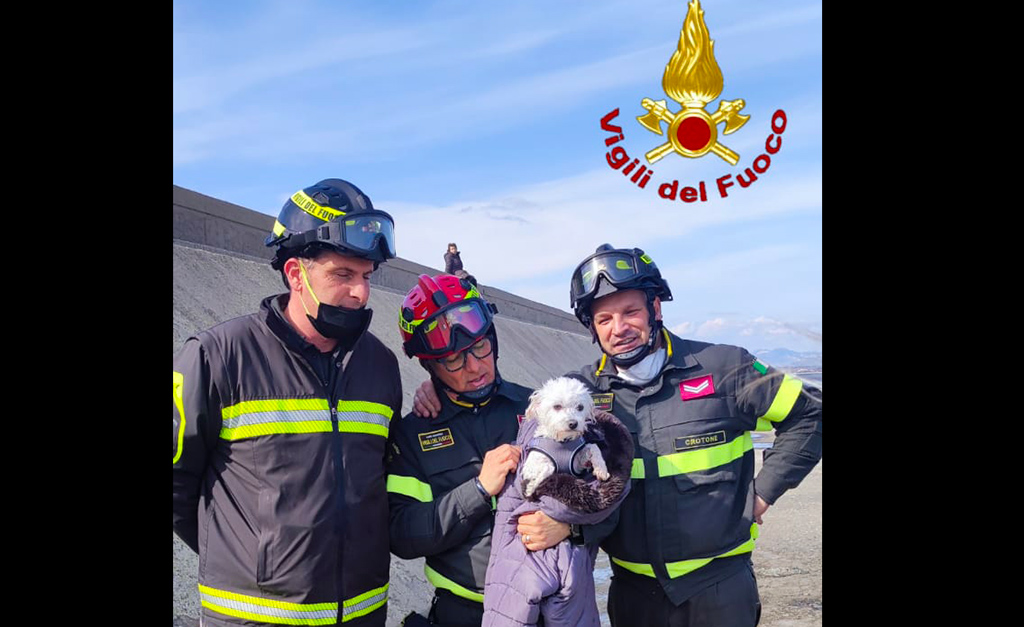 Cagnolino cade tra gli scogli del porto di Crotone, salvato dai vigili del fuoco