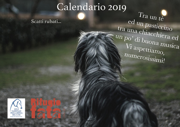 Lamezia, presentazione calendario 2019 "Rifugio Fata" il 2 dicembre 