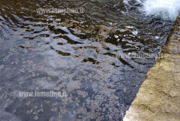 Lamezia: Ancora acque torbide nei torrenti Piazza e Canne