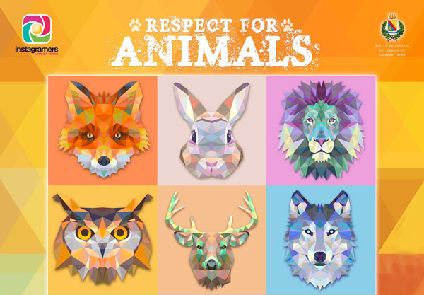 Lamezia: #Respectforanimals, campagna social a favore degli animali 