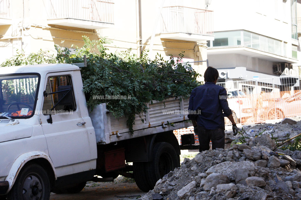 camion-alberto-tagliato-pericoloso.jpg