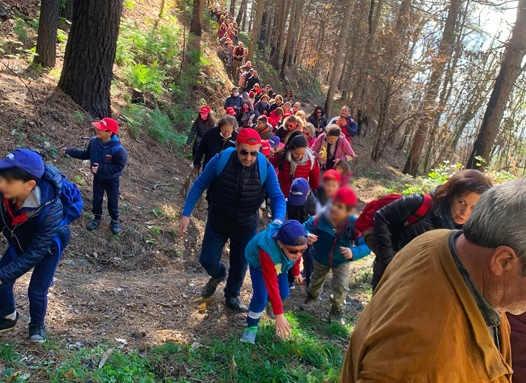 Lamezia, circolo Legambiente organizza passeggiata su Monte Reventino per la giornata dell’albero