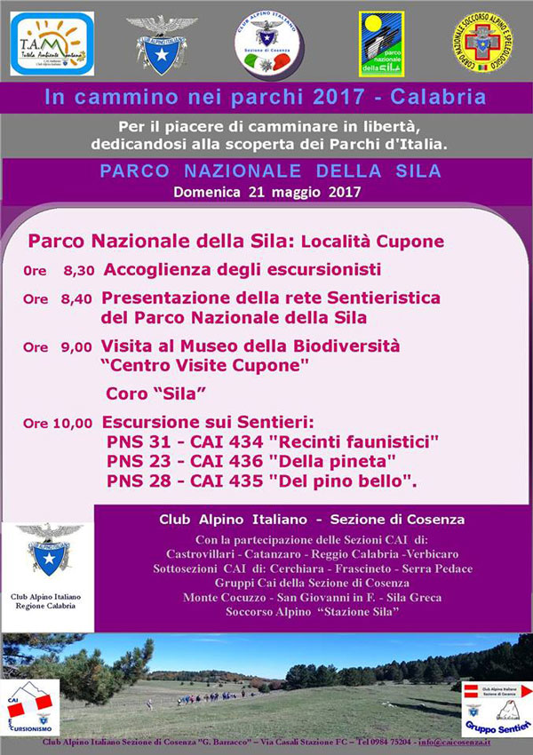 camminoparchi.jpg
