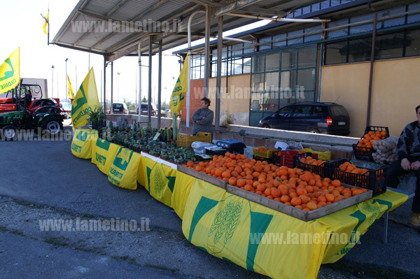 campagna_amica_4