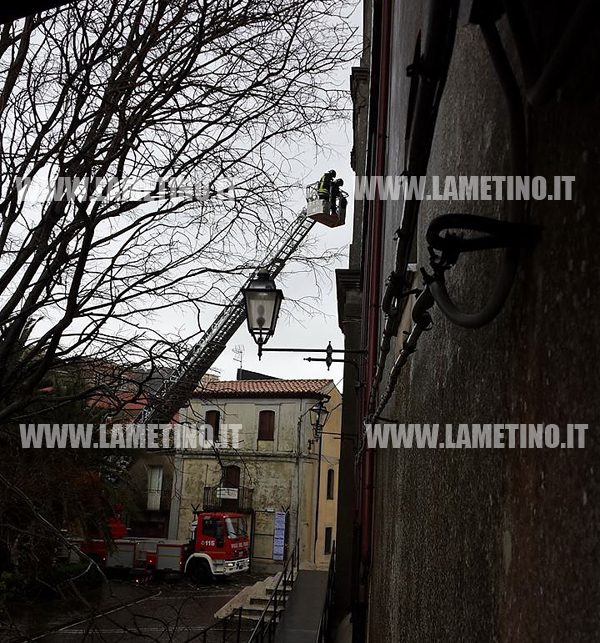 campanile-ter.jpg