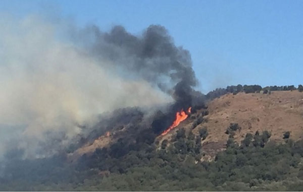 Incendio nell’Oasi Wwf degli Astroni, in azione anche canadair da Lamezia