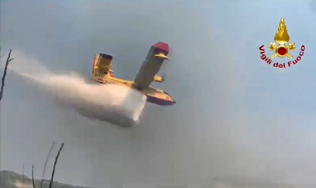 canadaird4ec0b175f51_a76ed.jpg