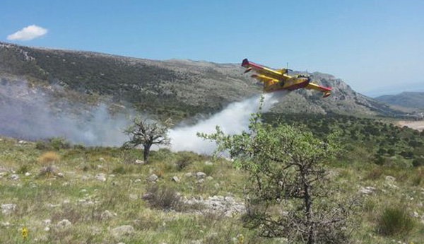 Al via piano antincendio boschivo del parco Pollino