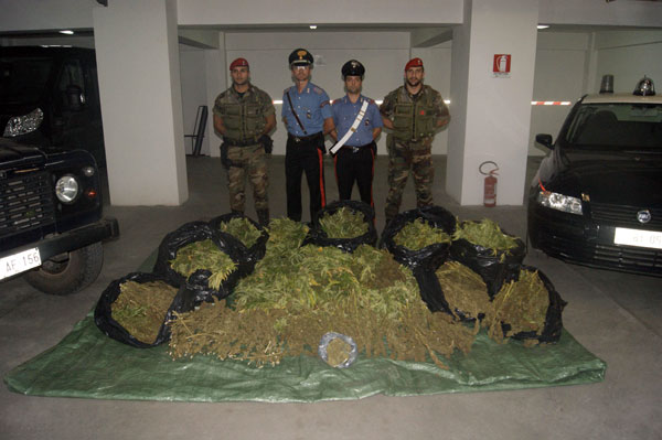 Calabria: Canapa indiana, sequestrati 115 kg in Aspromonte