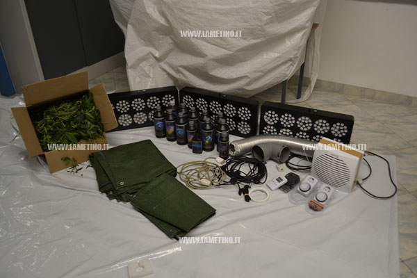 Lamezia: Coltivava canapa in appartamento Falerna, arrestato 27enne