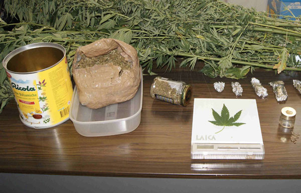 Calabria: Scoperto a coltivare marijuana nel suo terreno, arrestato agricoltore