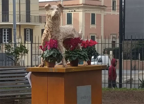cane-angelo.jpg