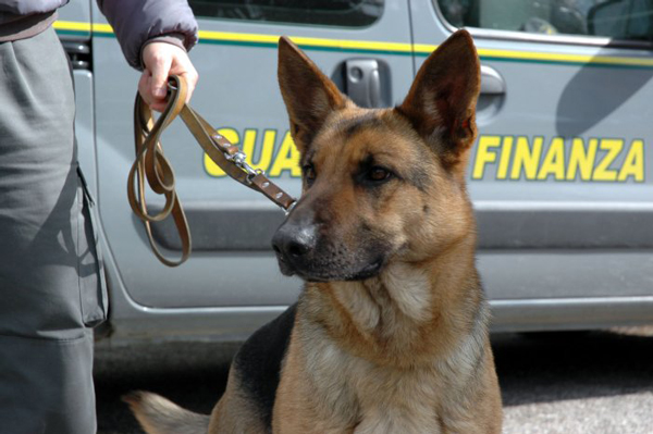 Gdf scopre 'arsenale' sotterrato, un arresto a Reggio 
