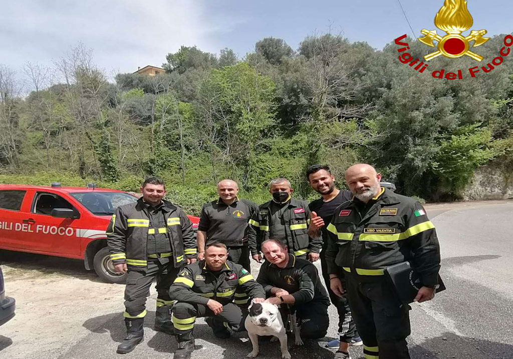 Cane e padrone finiscono in un dirupo nel Vibonese: salvati dai Vigili del fuoco