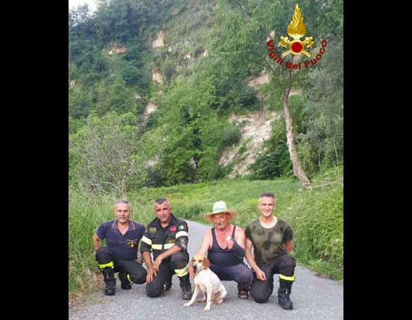 Cane caduto in un dirupo nel vibonese, salvato dai vigili del fuoco 
