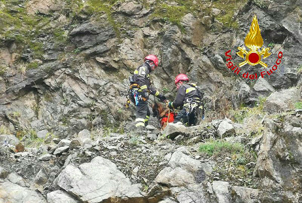 Cane bloccato in una cava a Spilinga, salvato dai Vigili del fuoco 