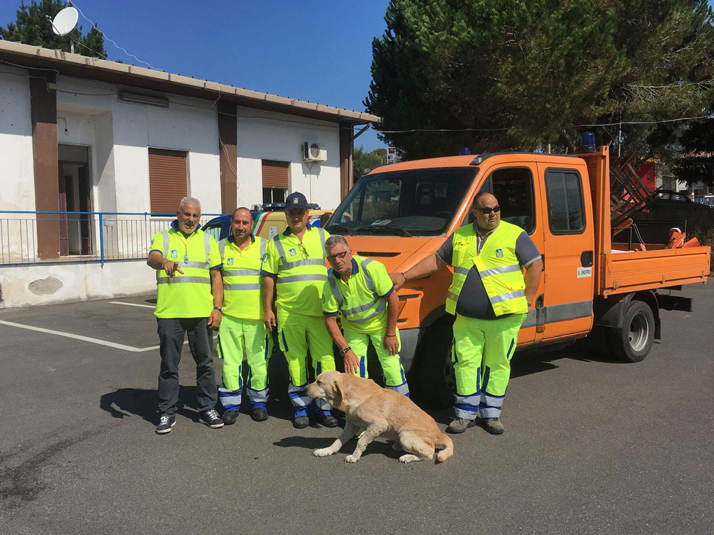 cane1-08312017-163049.jpg
