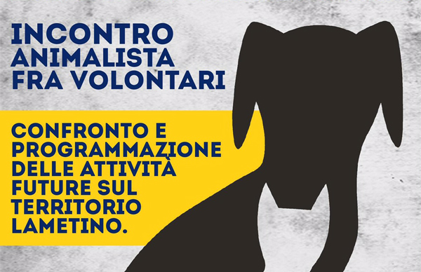 Lamezia, domani flash mob a difesa degli animali