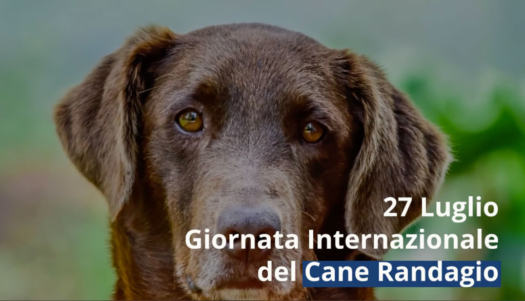 cani-2023-07-27-alle-12.13.02_0a83d.jpg