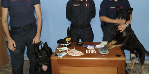 Calabria: Cane Cc scopre droga in casa, spacciatore ha infarto 