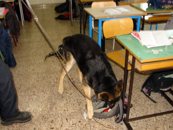 Controllo antidroga tra banchi di scuola a Catanzaro 