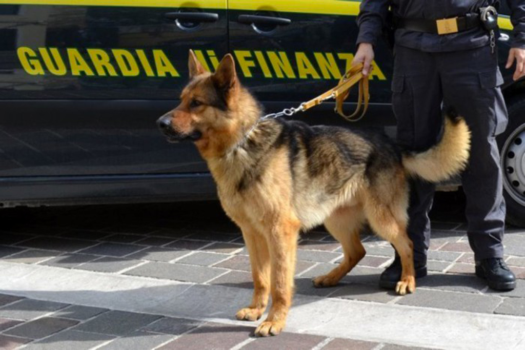 Viaggiava in auto con oltre un kg di cocaina, arrestato a Crotone