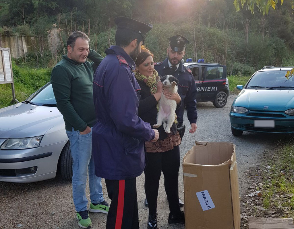 cani1-12012017-081915.jpg