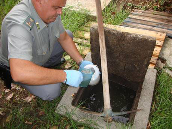 Calabria: Sequestrato canile a Paola