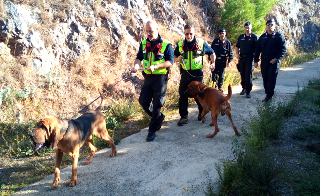 Anziano scomparso a Castrovillari, proseguono ricerche anche con cani molecolari