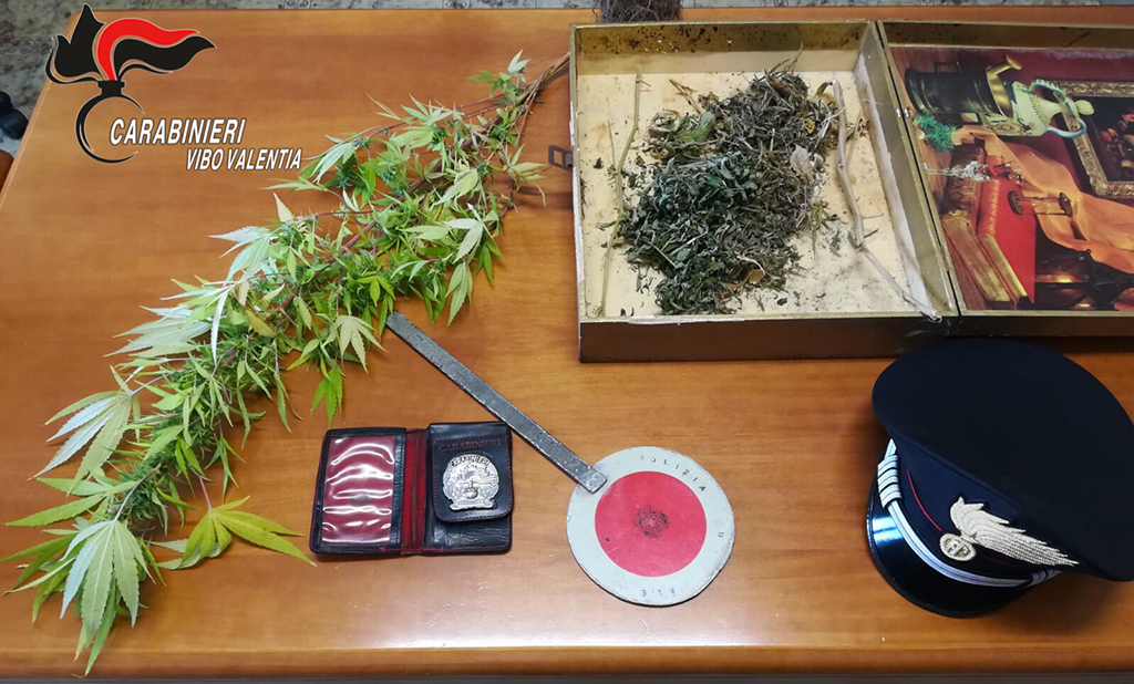 Trovato con pianta di marijuana e distintivo dei Carabinieri, denunciato 49enne nel vibonese 
