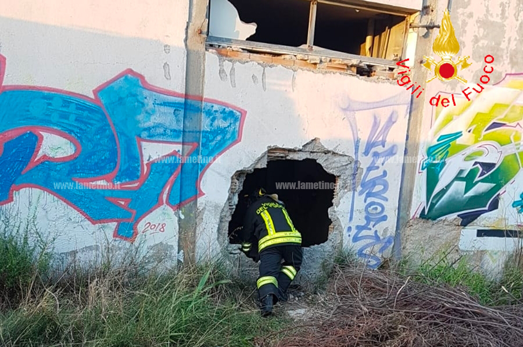 In fiamme capannone in disuso nel catanzarese, accertamenti in corso  