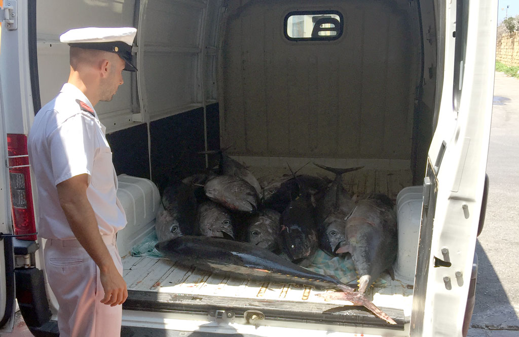 Guardia Costiera sequestra 32 esemplari di tonno rosso nel vibonese