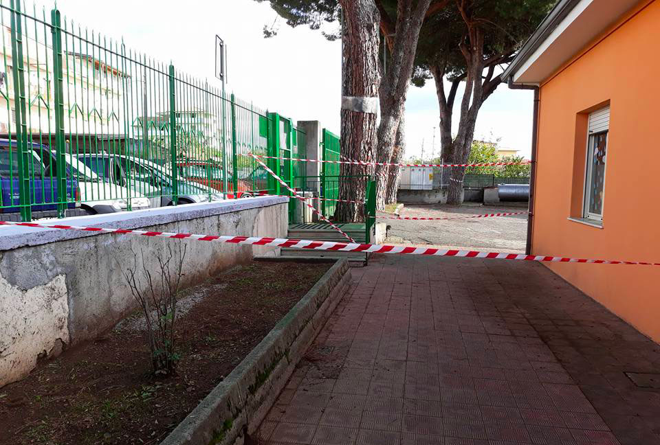 Lamezia: "Alberi a rischio caduta in plesso via Foderaro", la denuncia dell'associazione Quartiere Capizzaglie