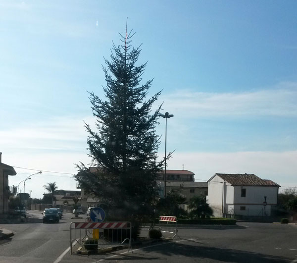 Lamezia, associazione Capizzaglie: piantato primo albero di natale nel quartiere