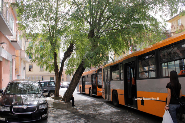 Lamezia Multiservizi, ripristinate le fermate a Piazza Porcelli 