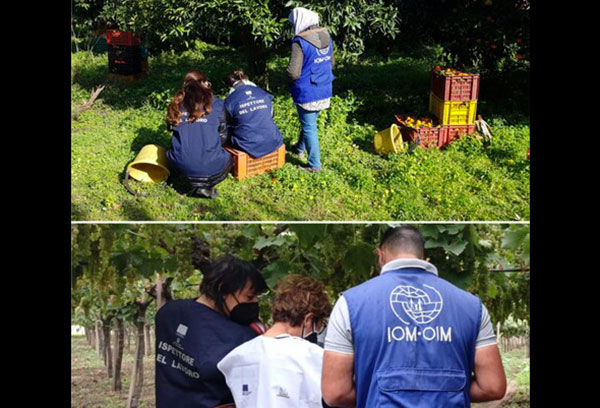 Caporalato, controllate 10 aziende nel Reggino: 8 irregolari