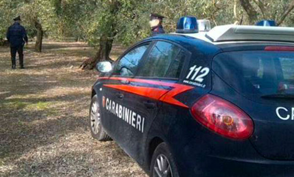 Minaccia con fucile imprenditore agricolo per accaparrarsi raccolto, arrestato 65enne reggino