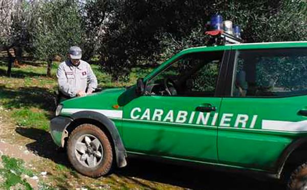 Scarichi abusivi reflui, sequestrato frantonio nel vibonese