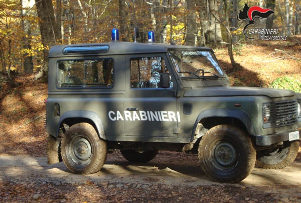 Introduzione abusiva di armi all'interno del Parco regionale delle Serre: sequestrati fucili a Cardinale