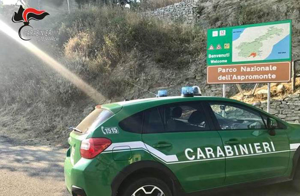 In auto con esemplari di fauna protetta, denunciato nel reggino