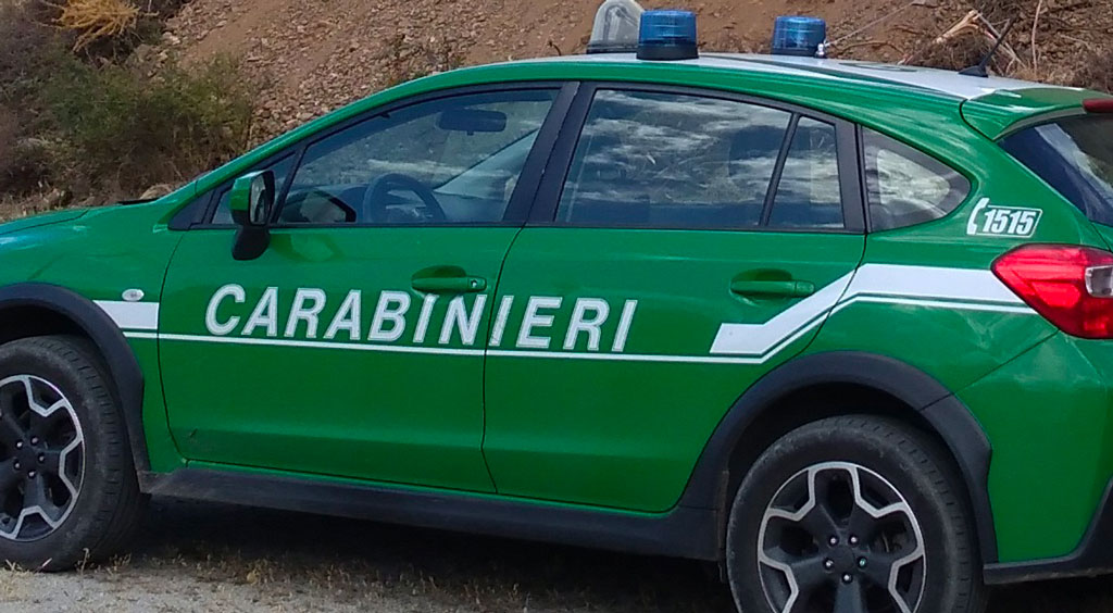 carabinieri-2020201_8d20e.jpg